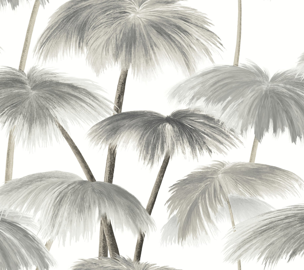 Plein Air Palms Black & White Tropical Wallpaper with Impressionist Palm Fronds - York LM5432