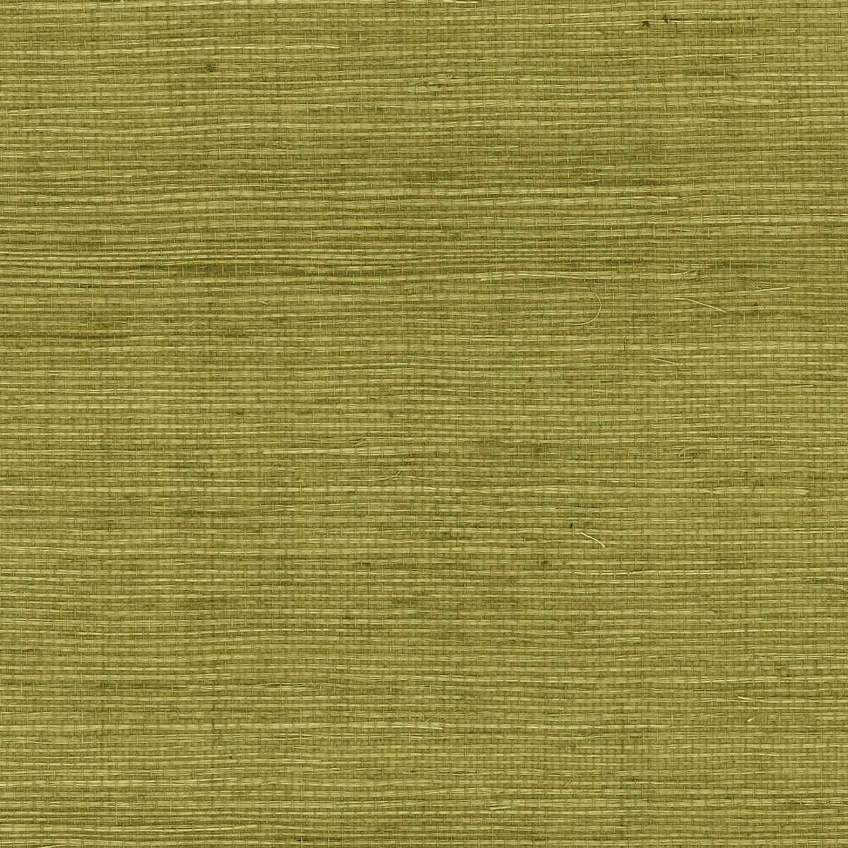 Olive sisal grasscloth wallpaper texture with woven natural fiber look