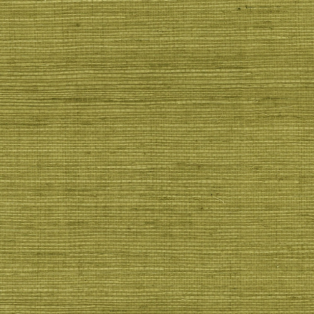 Olive sisal grasscloth wallpaper with woven texture