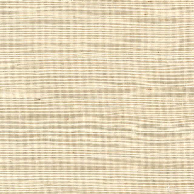 Crème Brule sisal grasscloth wallpaper texture in a light off-white neutral tone