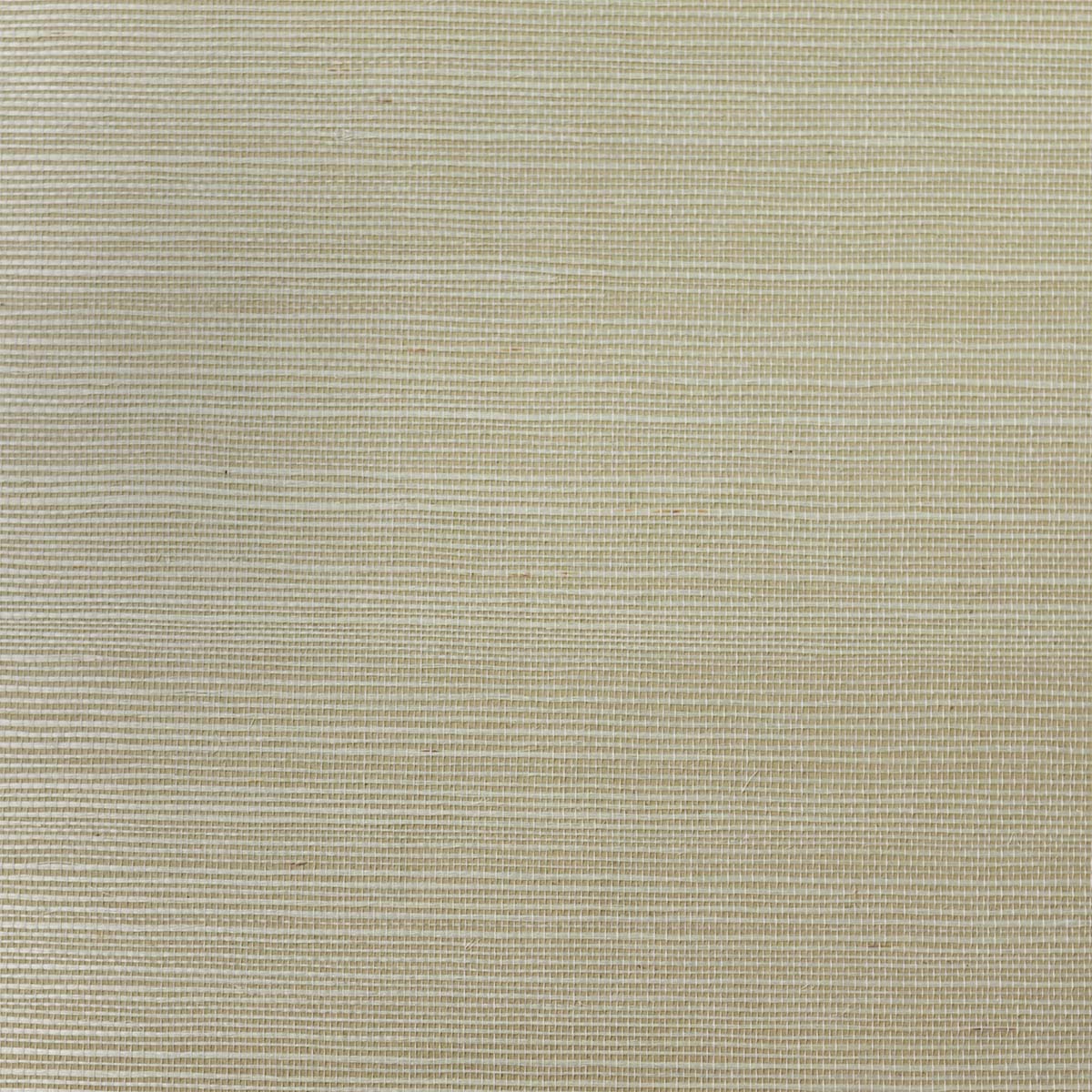 Beige crème brule sisal grasscloth wallpaper texture