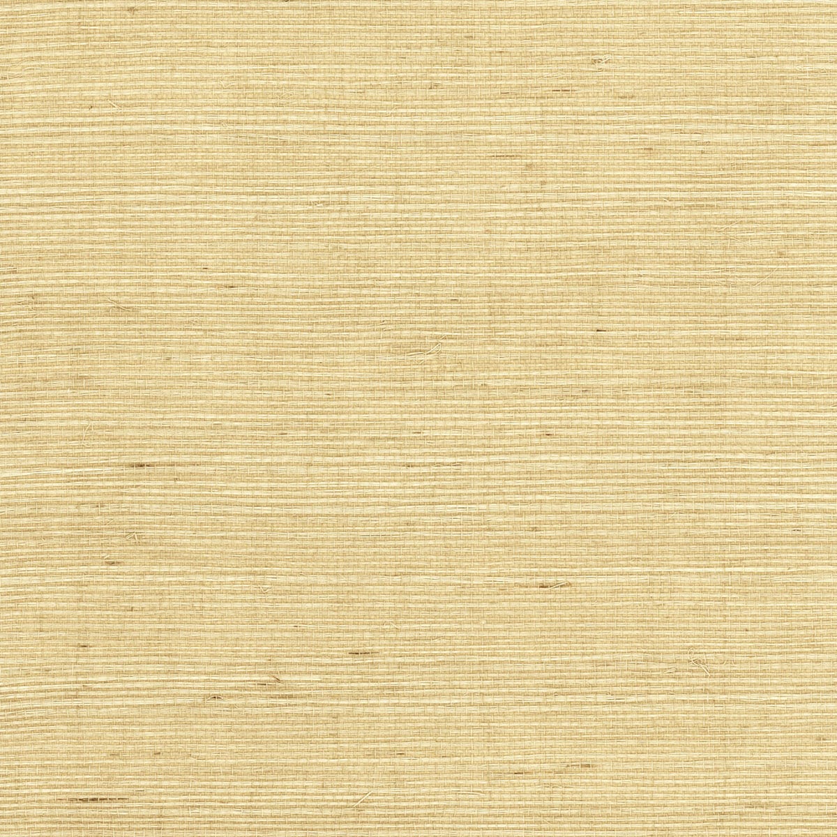 Neutral beige sisal grasscloth texture wallpaper in Desert Limestone