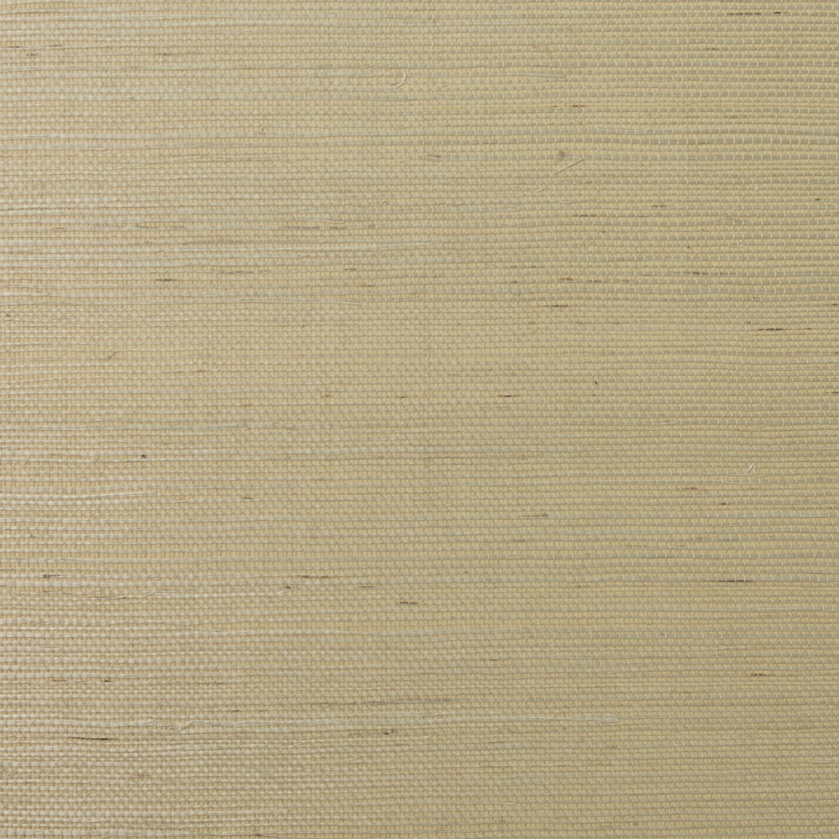 Desert Limestone beige sisal grasscloth wallpaper texture