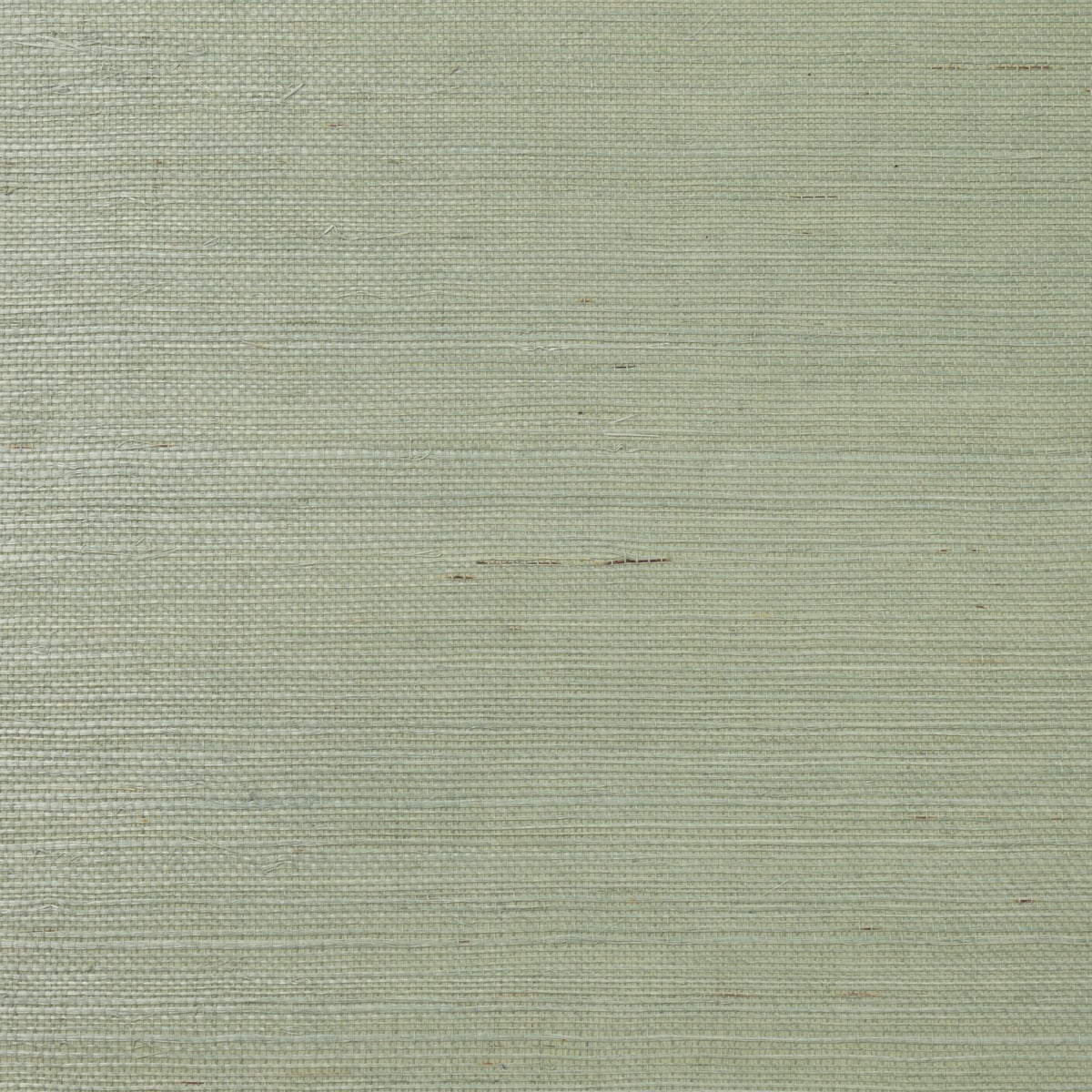 Tender green sisal grasscloth wallpaper with natural woven texture
