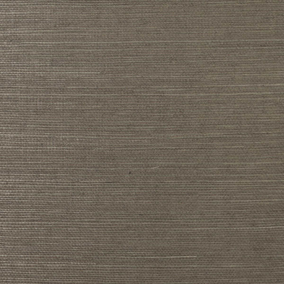 Ash brown sisal grasscloth wallpaper texture sample