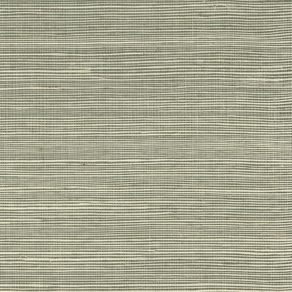 Green Mist sisal grasscloth wallpaper with subtle woven texture