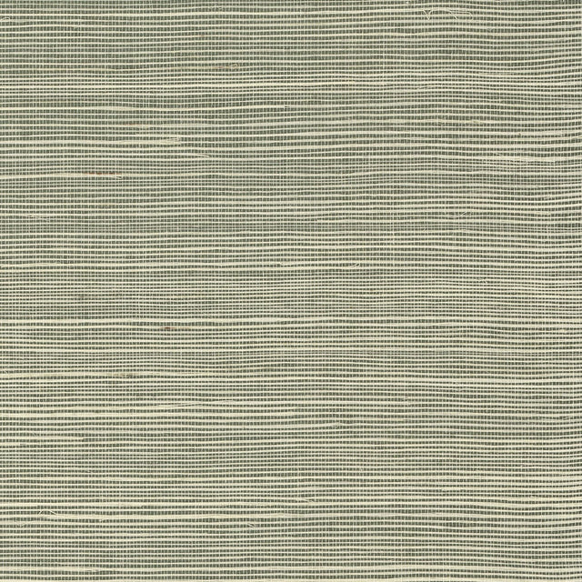 Green Mist sisal grasscloth wallpaper with subtle woven texture