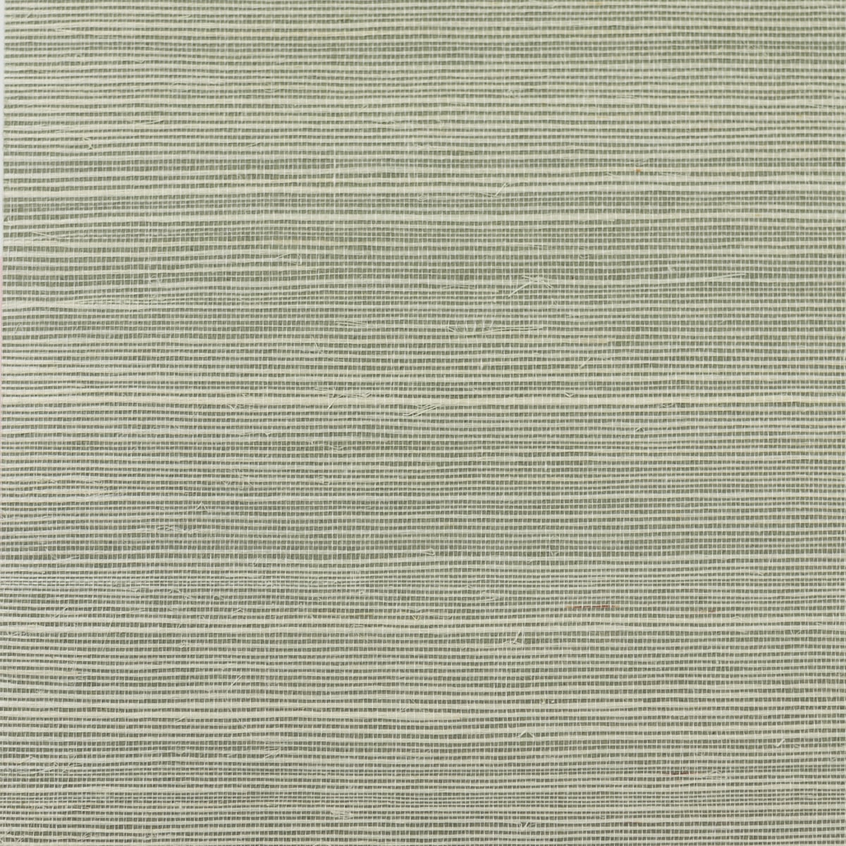 Green Mist sisal grasscloth wallpaper texture