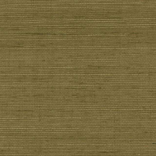 Tosca Pear sisal grasscloth wallpaper with woven natural texture