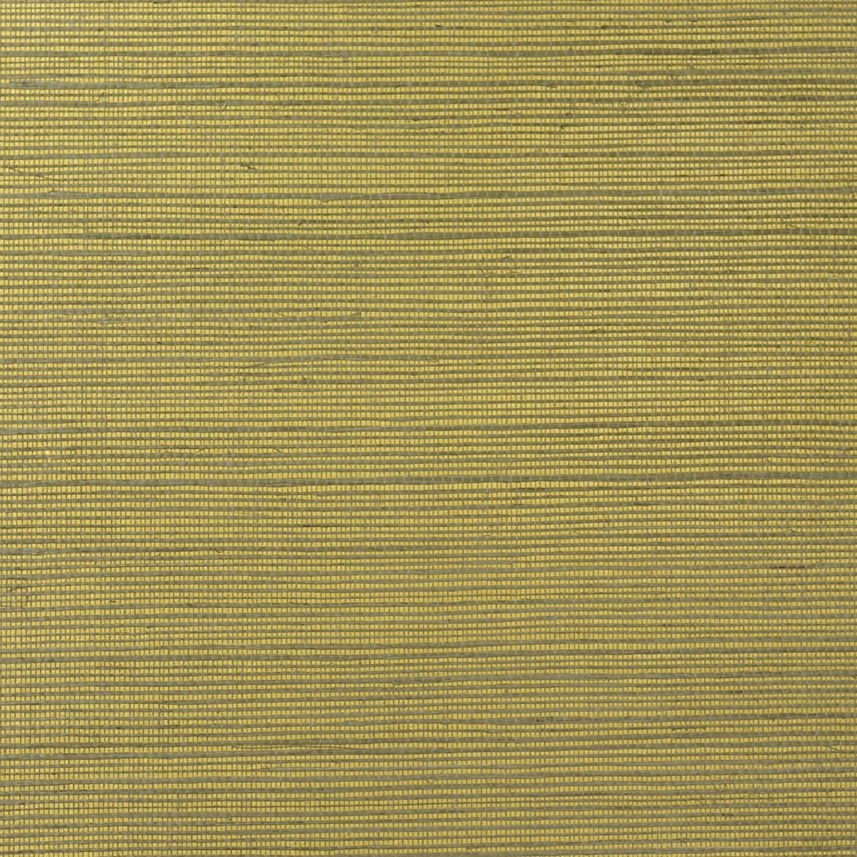 Metallic gold and aloe sisal grasscloth wallpaper texture