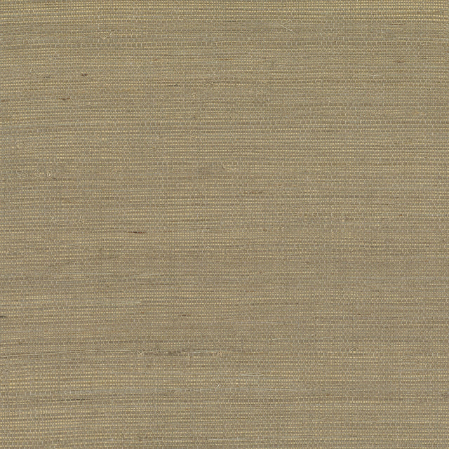 Sandstorm beige sisal grasscloth texture wallpaper