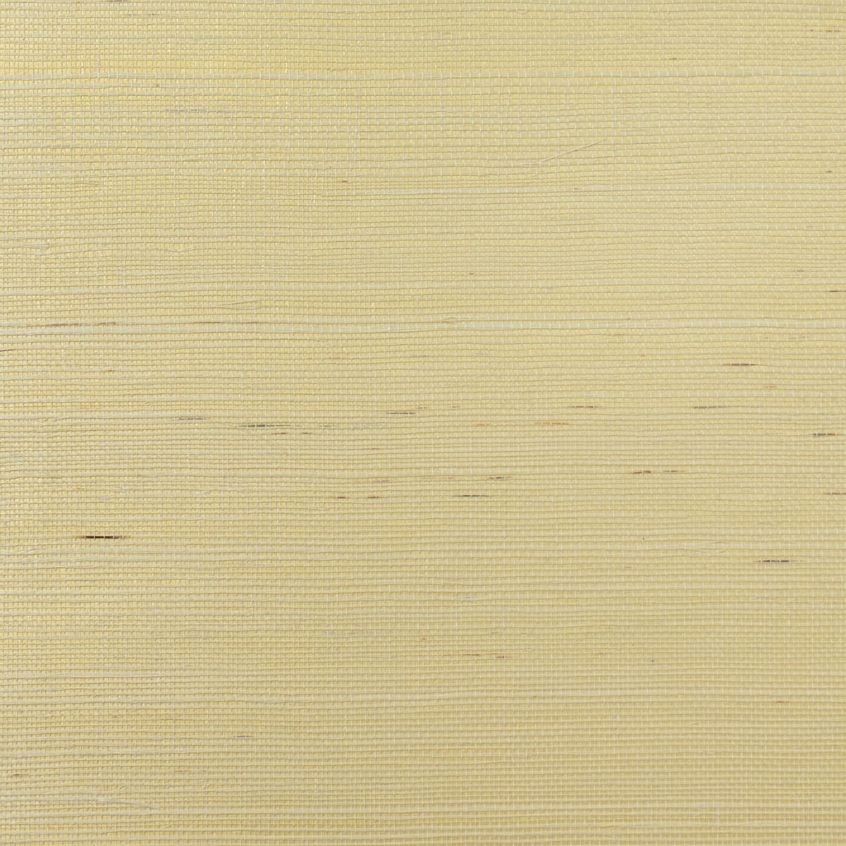 Ivory and metallic gold sisal grasscloth wallpaper texture