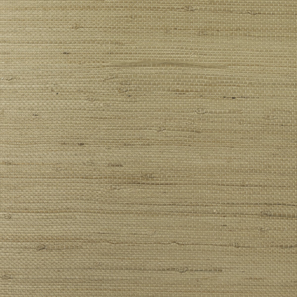 Lillian August Jute grasscloth wallpaper in Oat (LN11875)