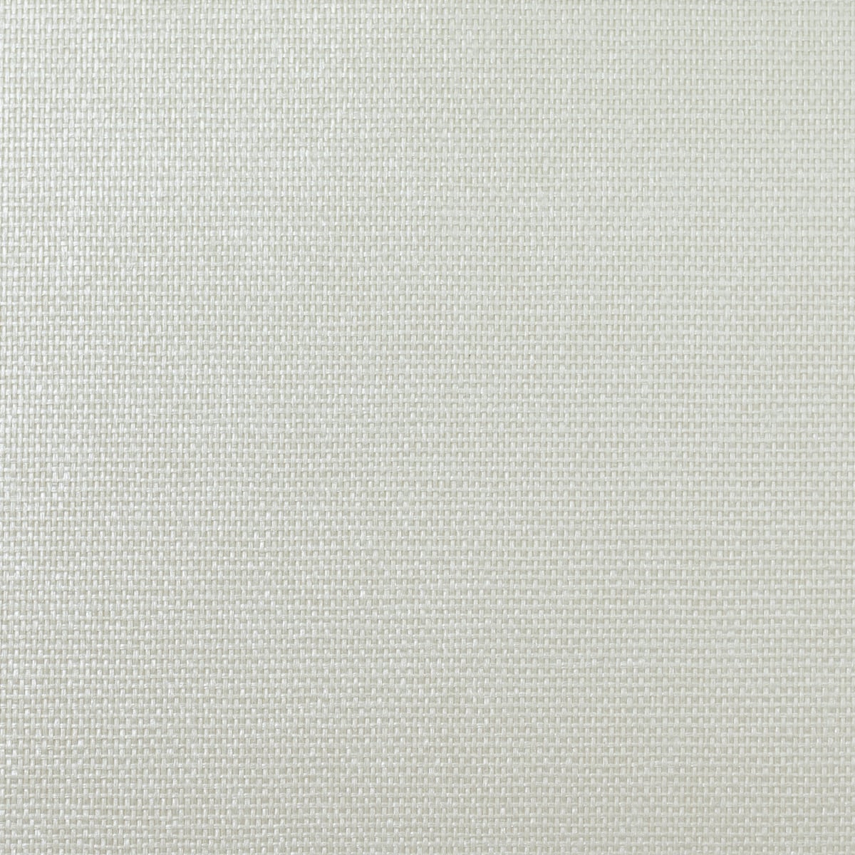 Metallic pearl paperweave grasscloth wallpaper texture