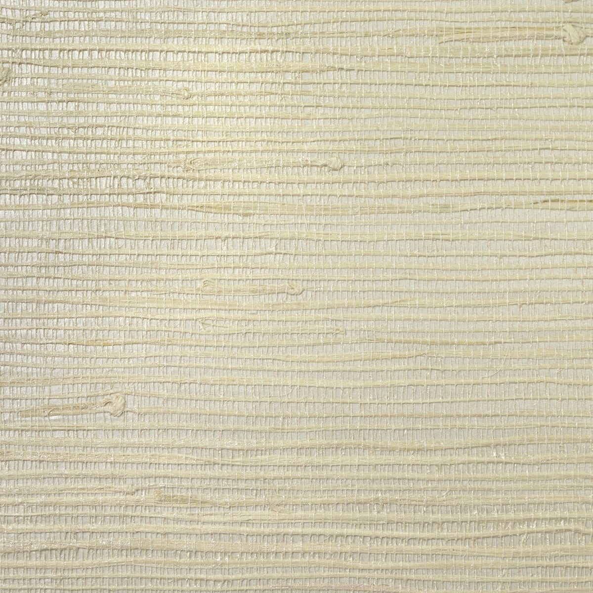 Pearled ivory metallic jute grasscloth wallpaper with a natural woven texture.