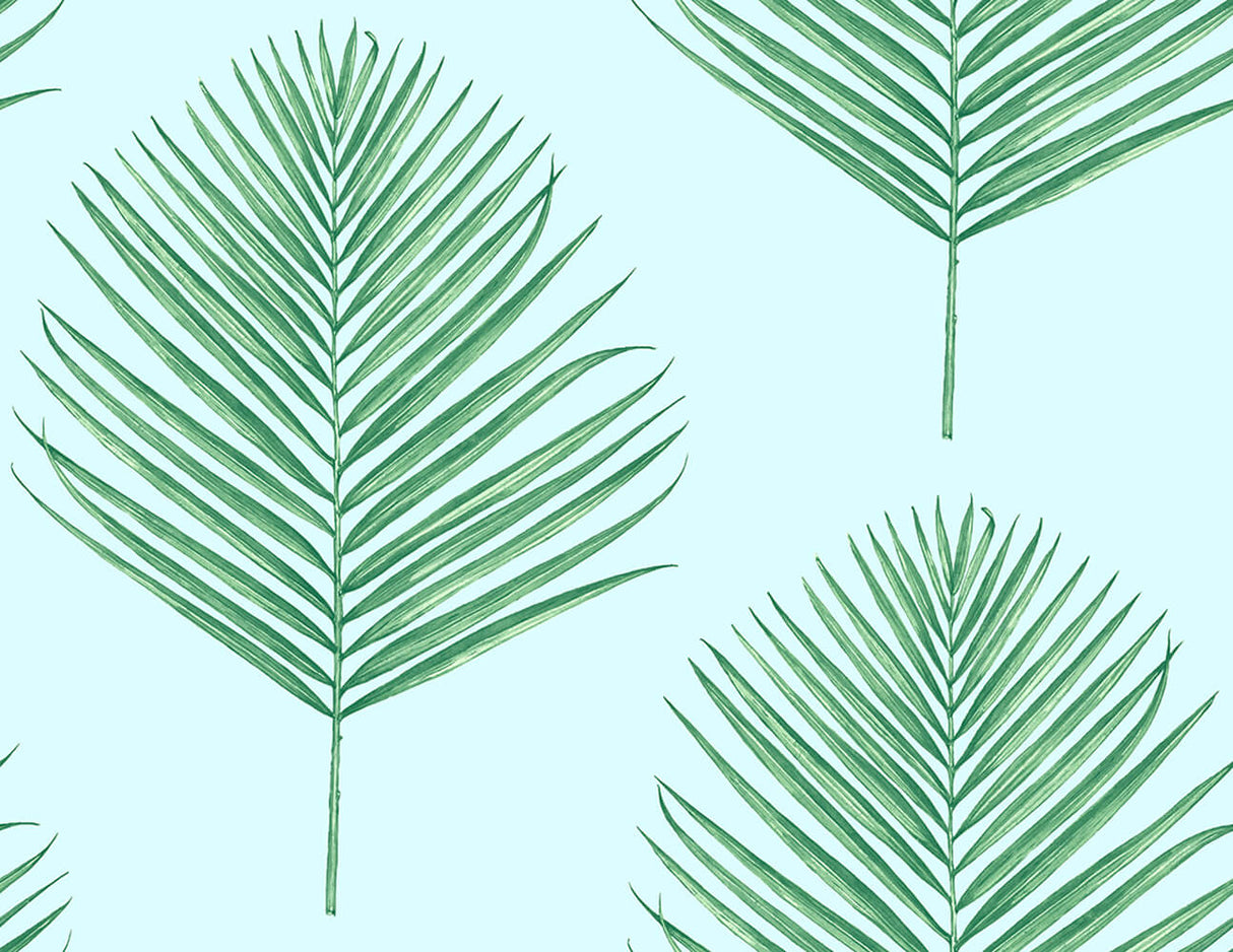 Maui Palm peel and stick wallpaper in Celeste and Jade with palm frond motif