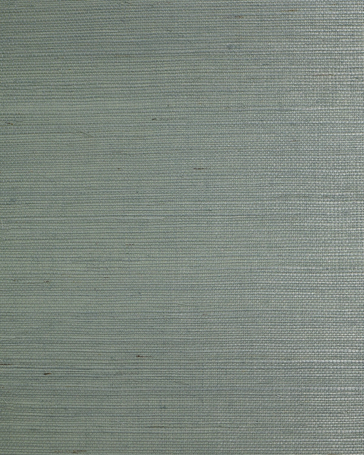 Blue Sage regular weave sisal grasscloth wallpaper texture