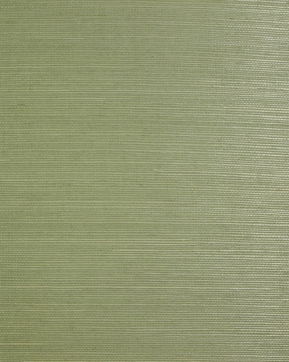 Jade sisal grasscloth wallpaper with a natural woven texture