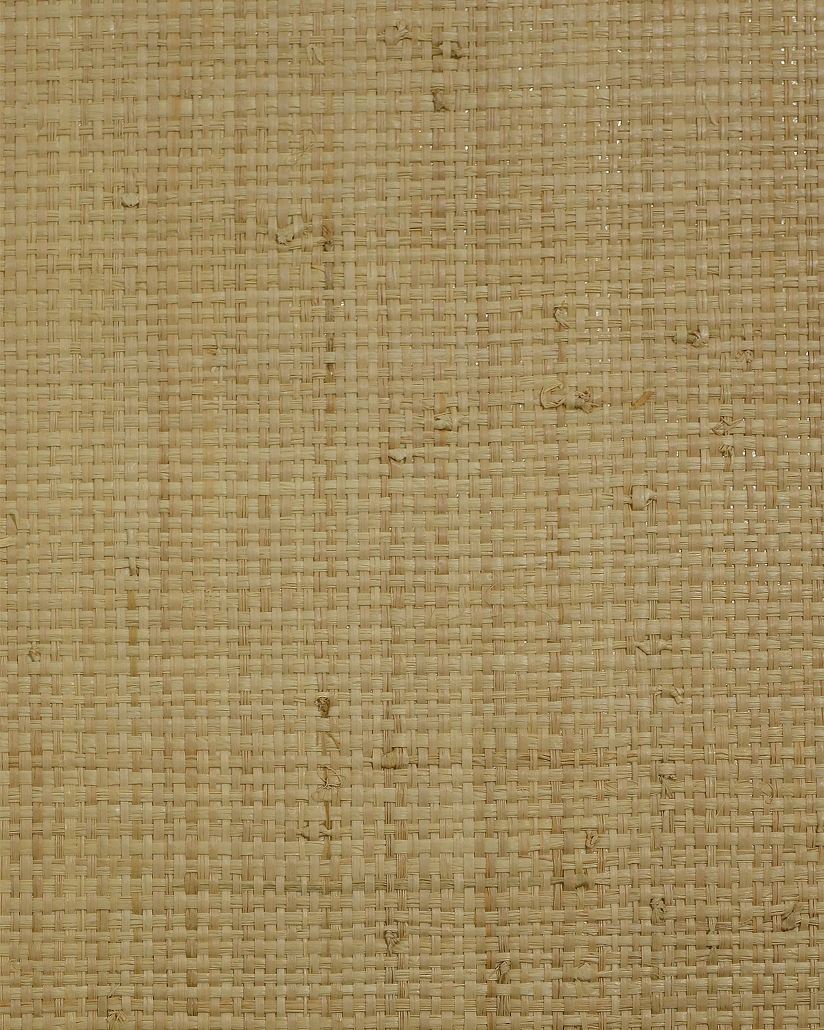 Tan raffia grasscloth wallpaper with a woven natural texture