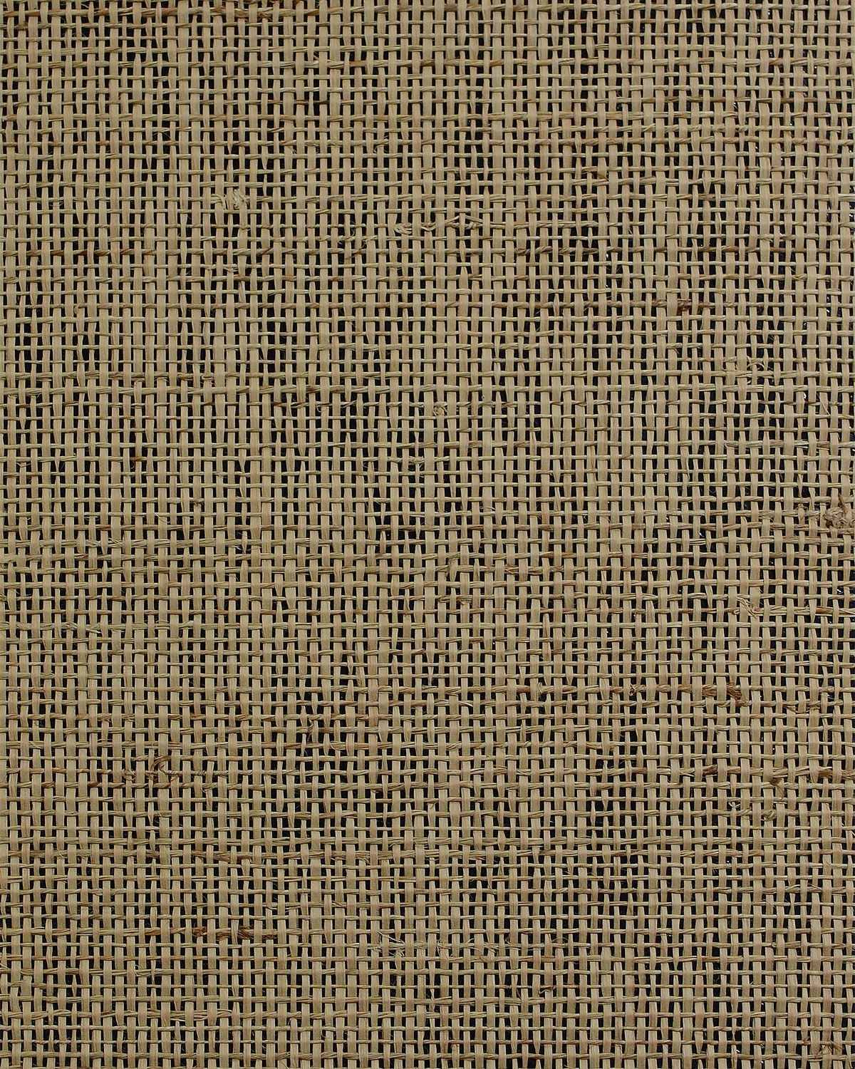 Natural raw jute grasscloth wallpaper in Papyrus colorway, 36-inch wide