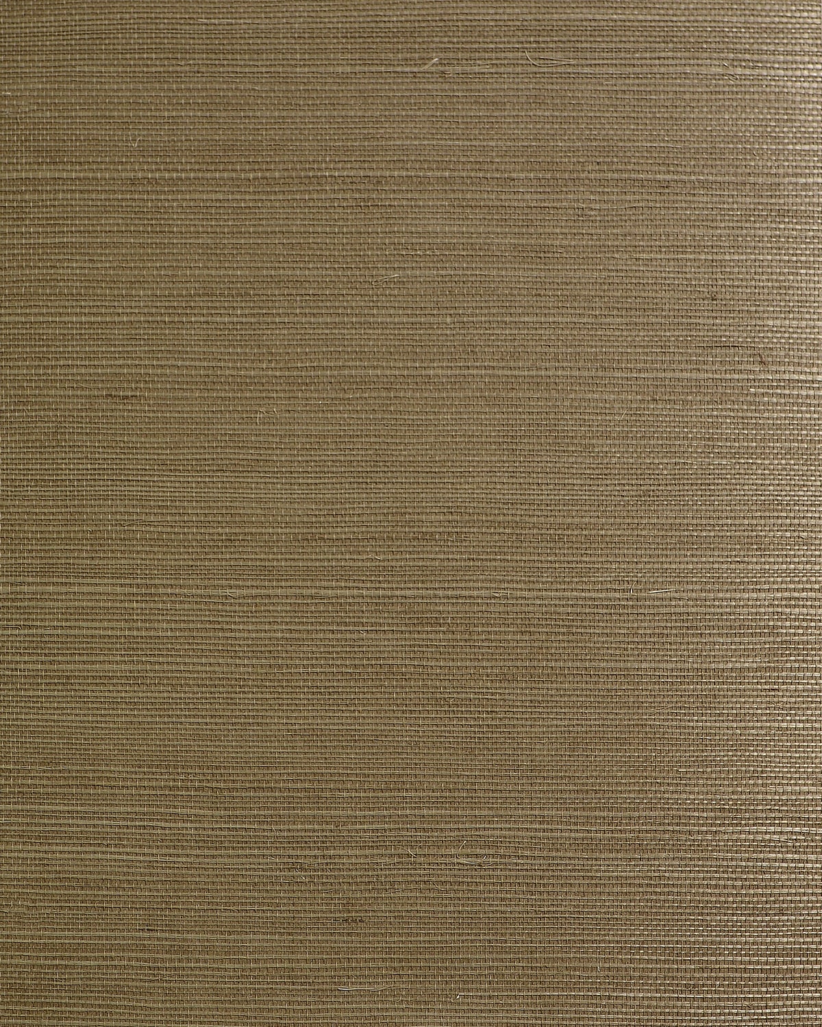 Smoky beige sisal grasscloth wallpaper texture
