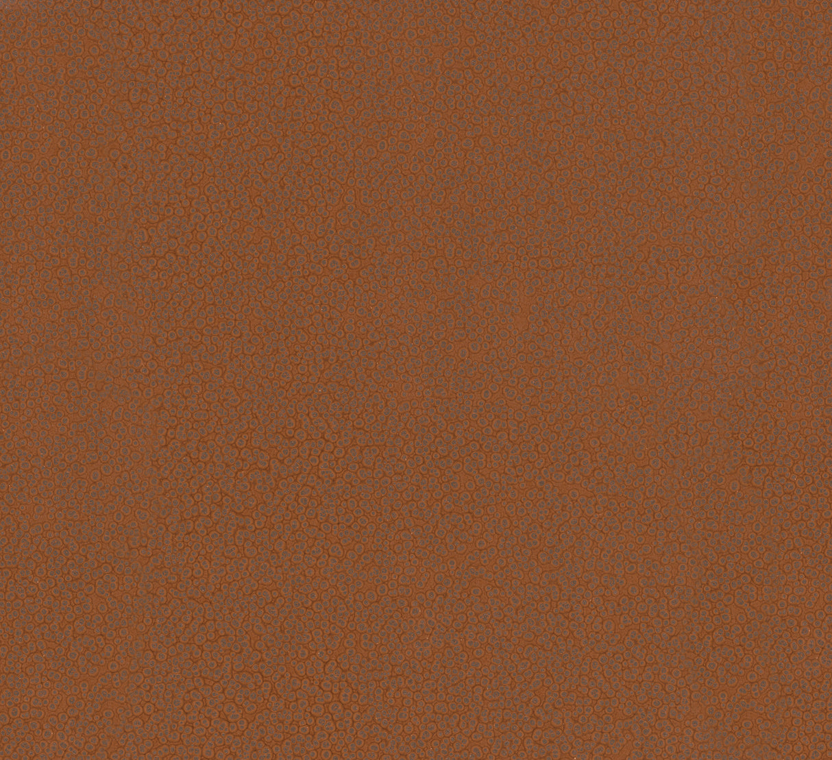 Antonina Vella Hudson Copper Hammered Metal Wallpaper MA34958