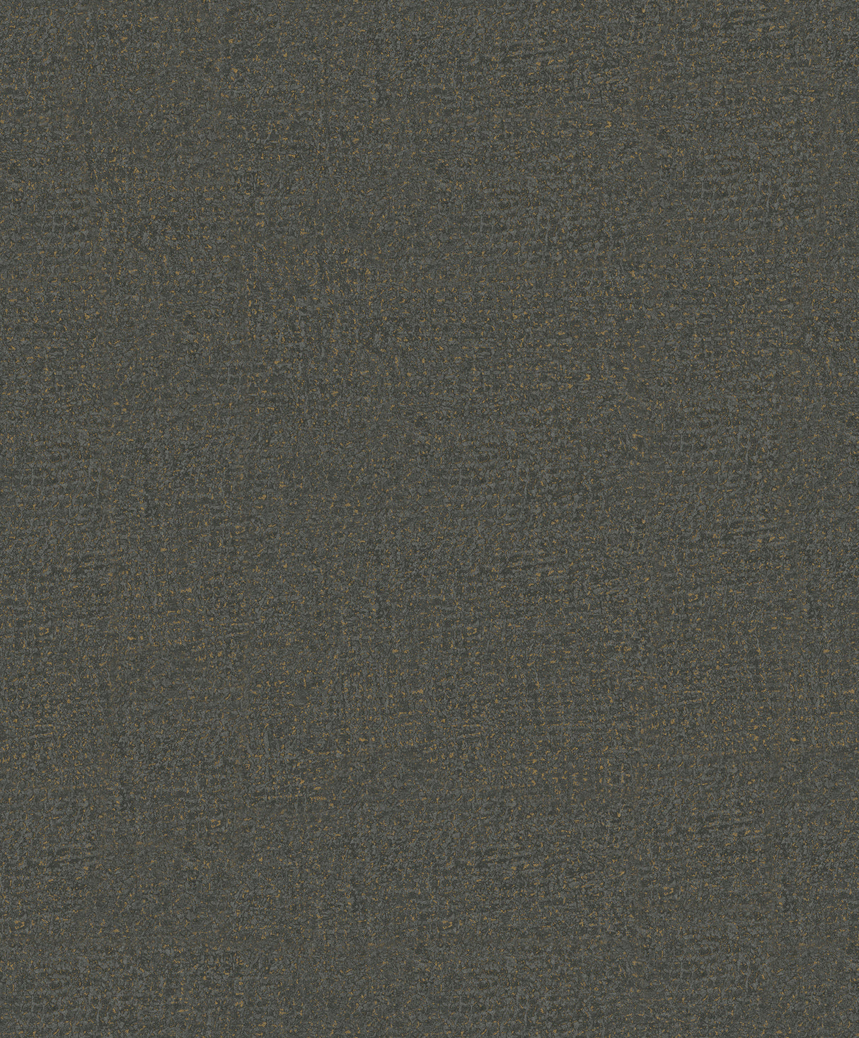 Antonina Vella Garden Stone Charcoal Textured Wallpaper MA35520 roll and room view