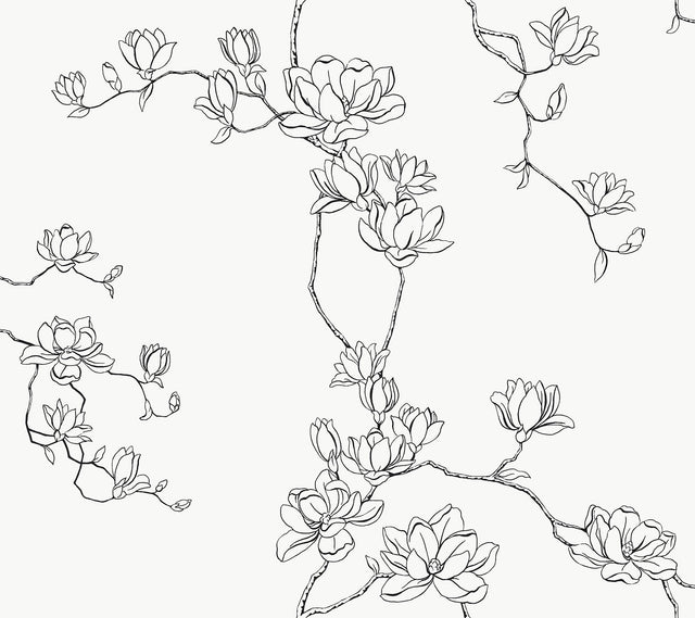 Magnolia Branches Black Wallpaper with Botanical Floral Pattern, Farmhouse Style - York MF4731