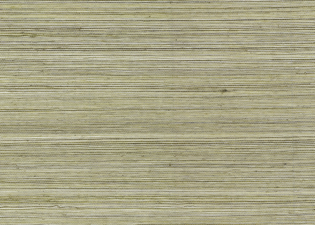 Raffia Charcoal Grasscloth Non Woven Wallpaper Roll by Missoni - MI4765