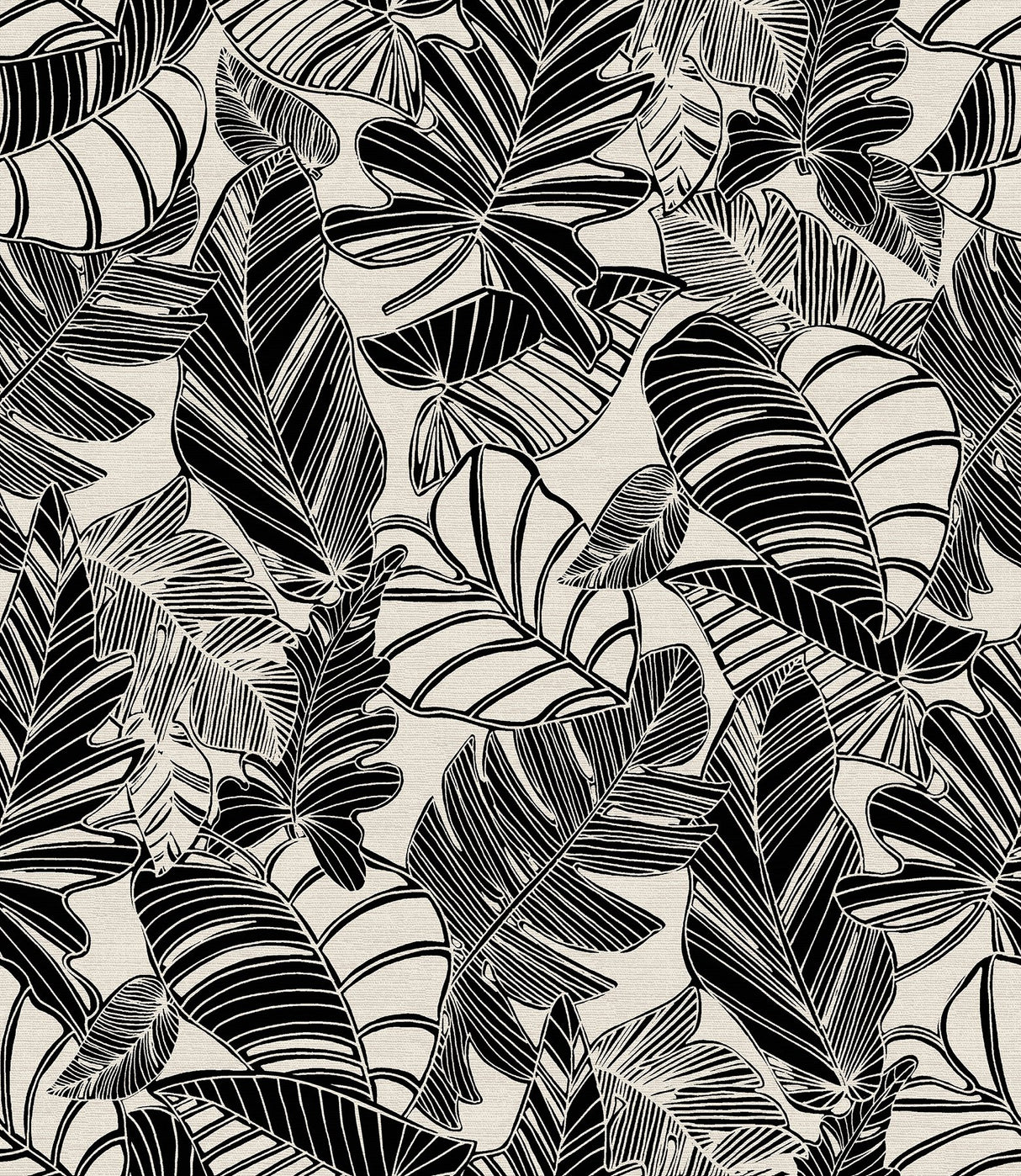 Pindo Wood Cut Palm Black Peel & Stick Wallpaper with Botanical Leaf Pattern, Bohemian Style - MS6136