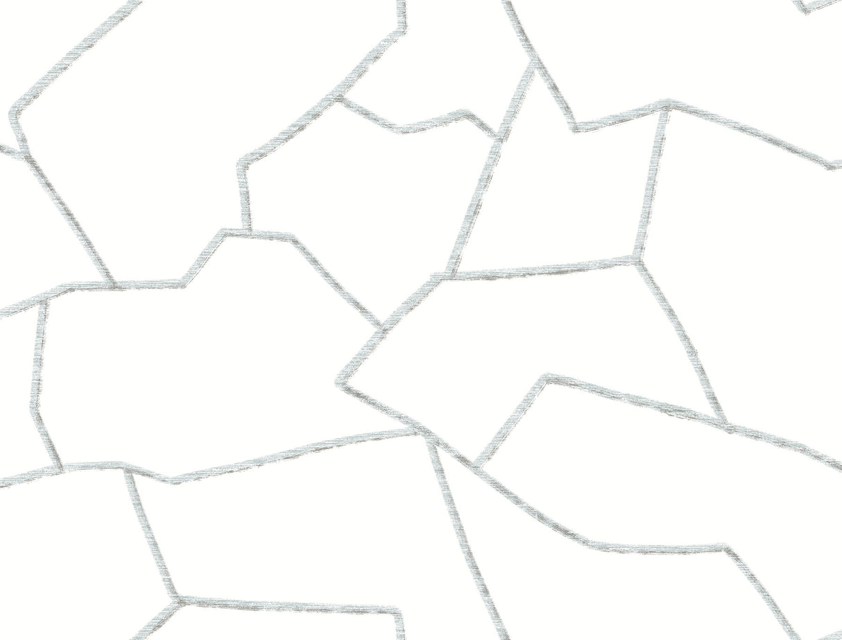York Wallcoverings Suite Style Dolphin Wallpaper MT5621