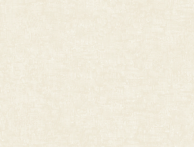 York Trabadillo Plaster Beach wallpaper roll and pattern detail in beige