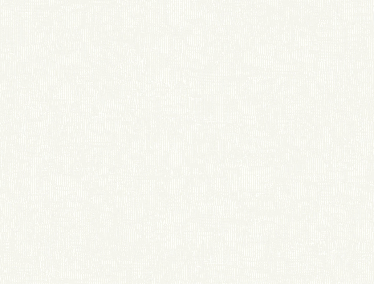 Trabadillo Plaster Egg Shell non-woven wallpaper by York Wallcoverings, MT5662