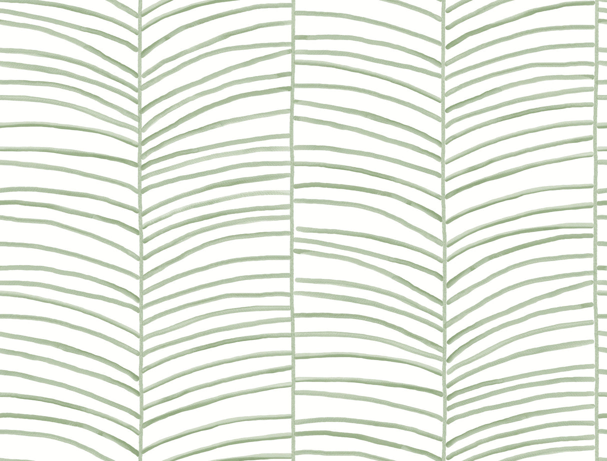 Cascade Palm Chevron Palm Wallpaper MT5674 by York Wallcoverings