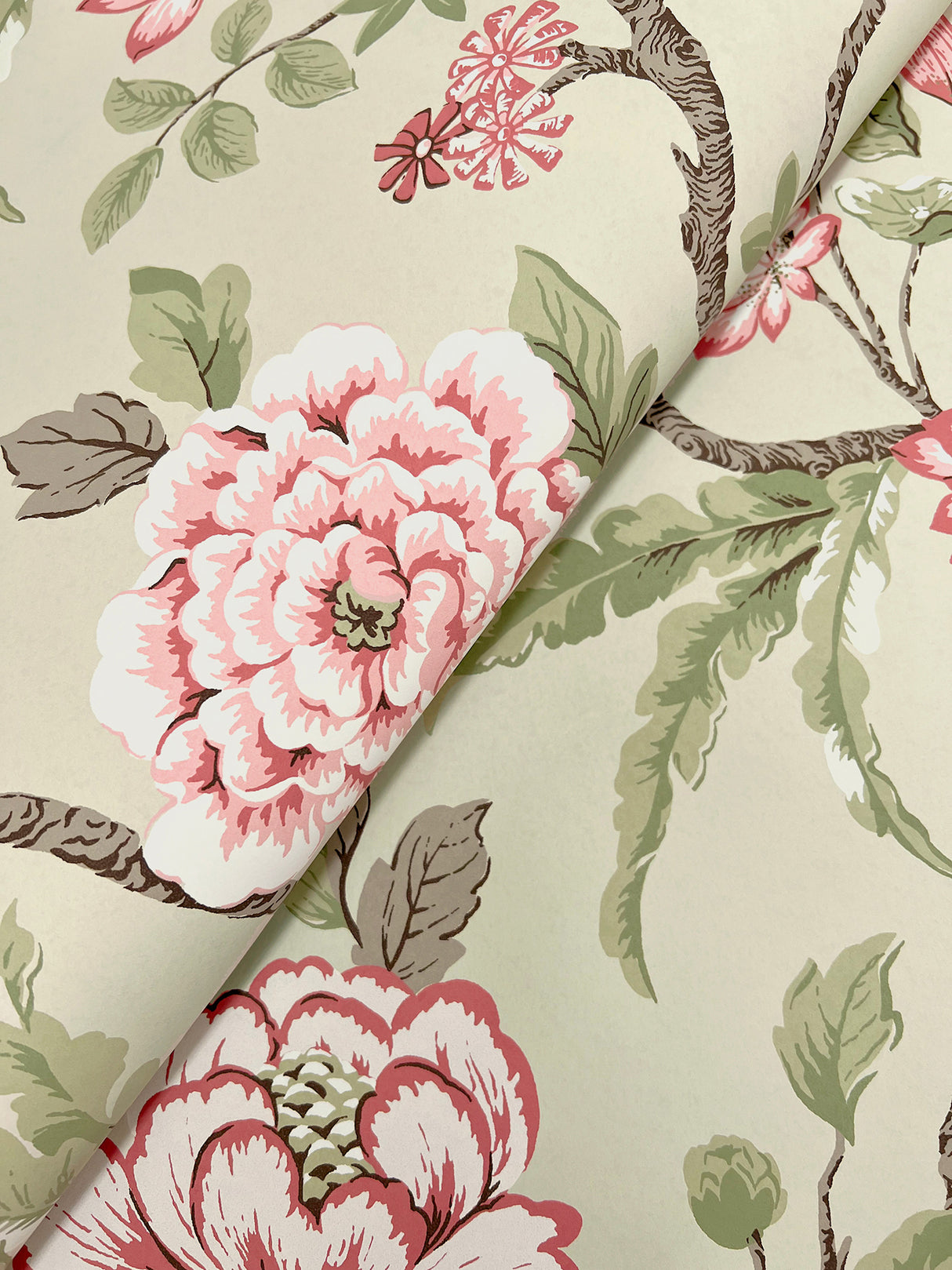 Courtyard Botanical Pink by Ronald Redding Botanical Wallpaper – York Designer Series MX9653