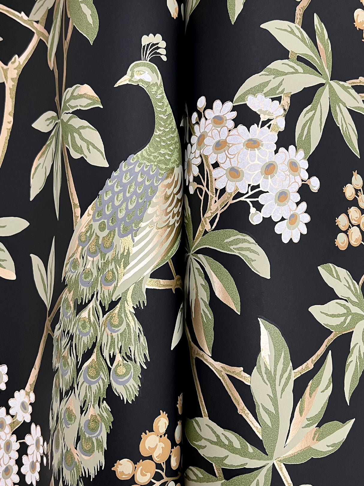 Peacock Estate Black by Ronald Redding Animals & Insects Wallpaper – York Designer Series MX9662