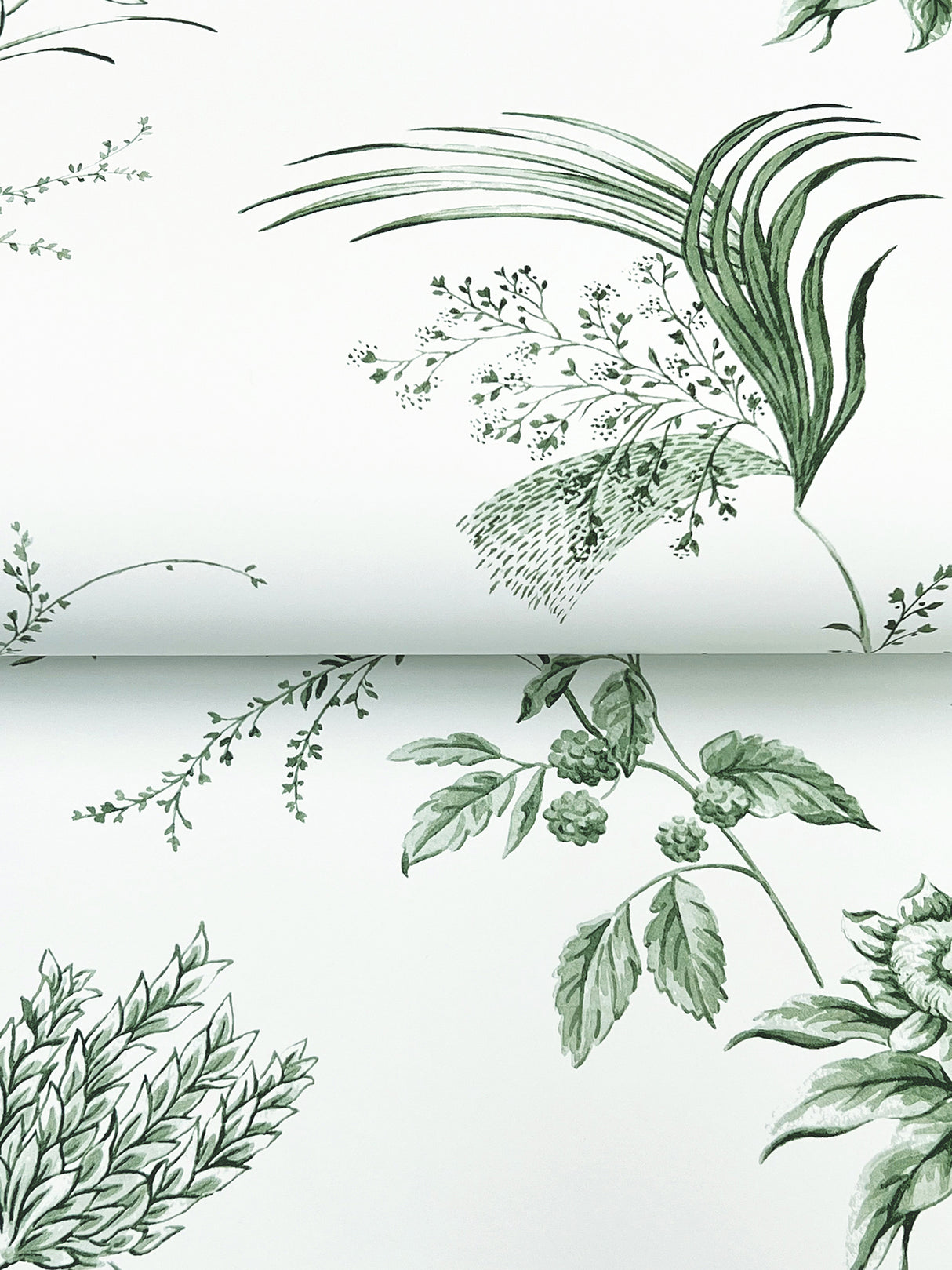 Floral Lace Green by Ronald Redding Non Woven Wallpaper- York Designer Series MX9680