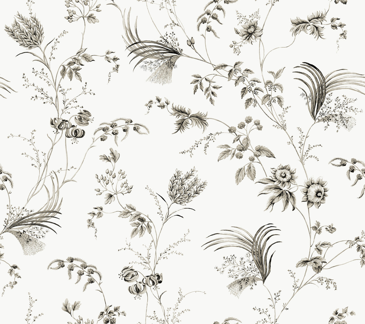 Floral Lace Black Wallpaper by Ronald Redding, pattern MX9682