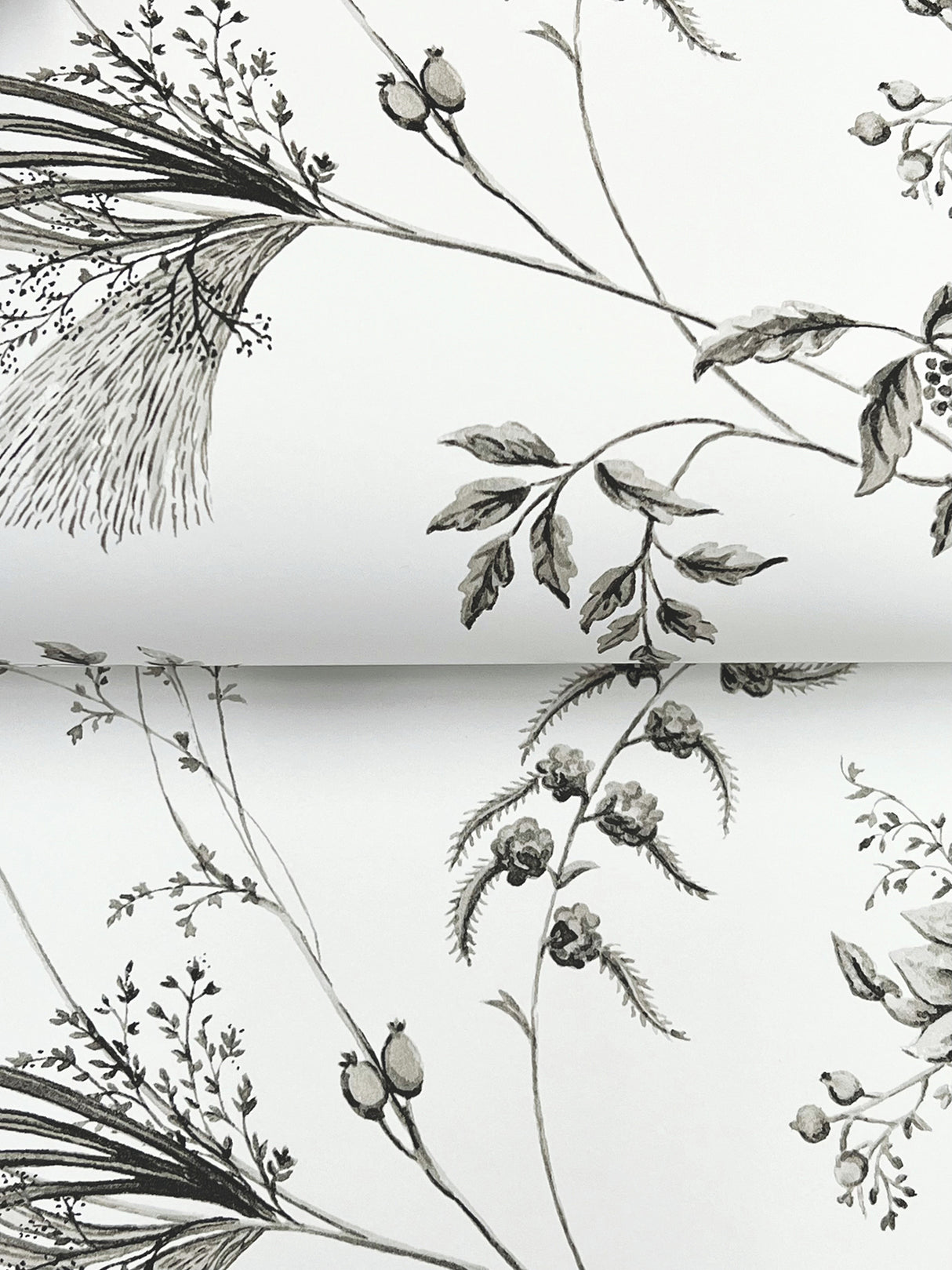 Floral Lace Black by Ronald Redding Floral Wallpaper – York Designer Series MX9682