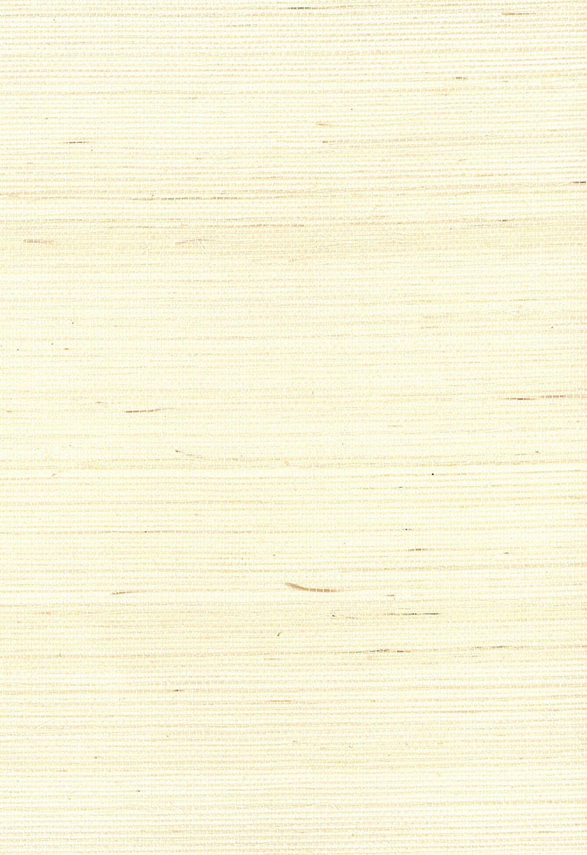 Off-white sisal grasscloth wallpaper texture