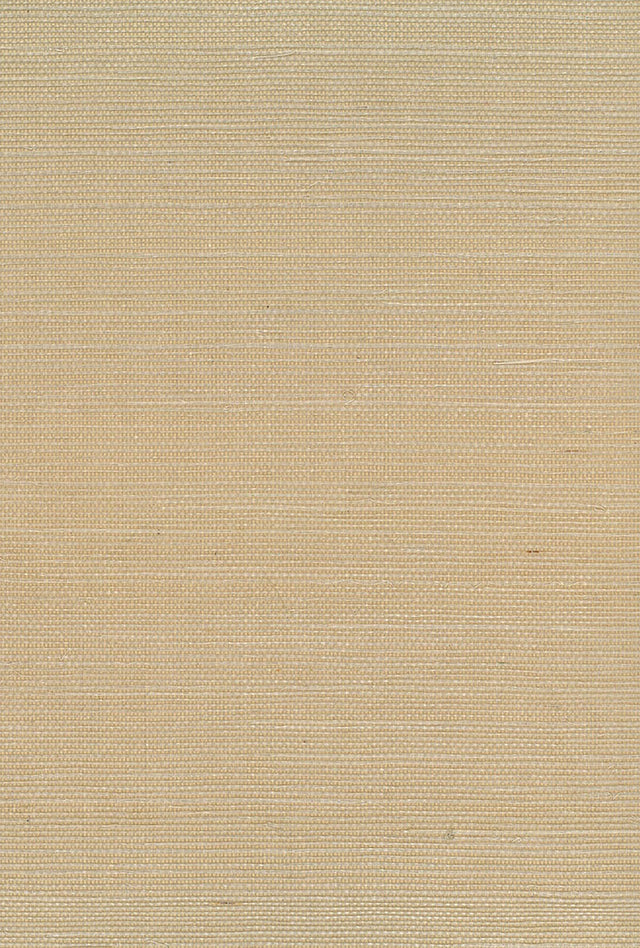 Neutral beige sisal grasscloth wallpaper with a matte woven texture