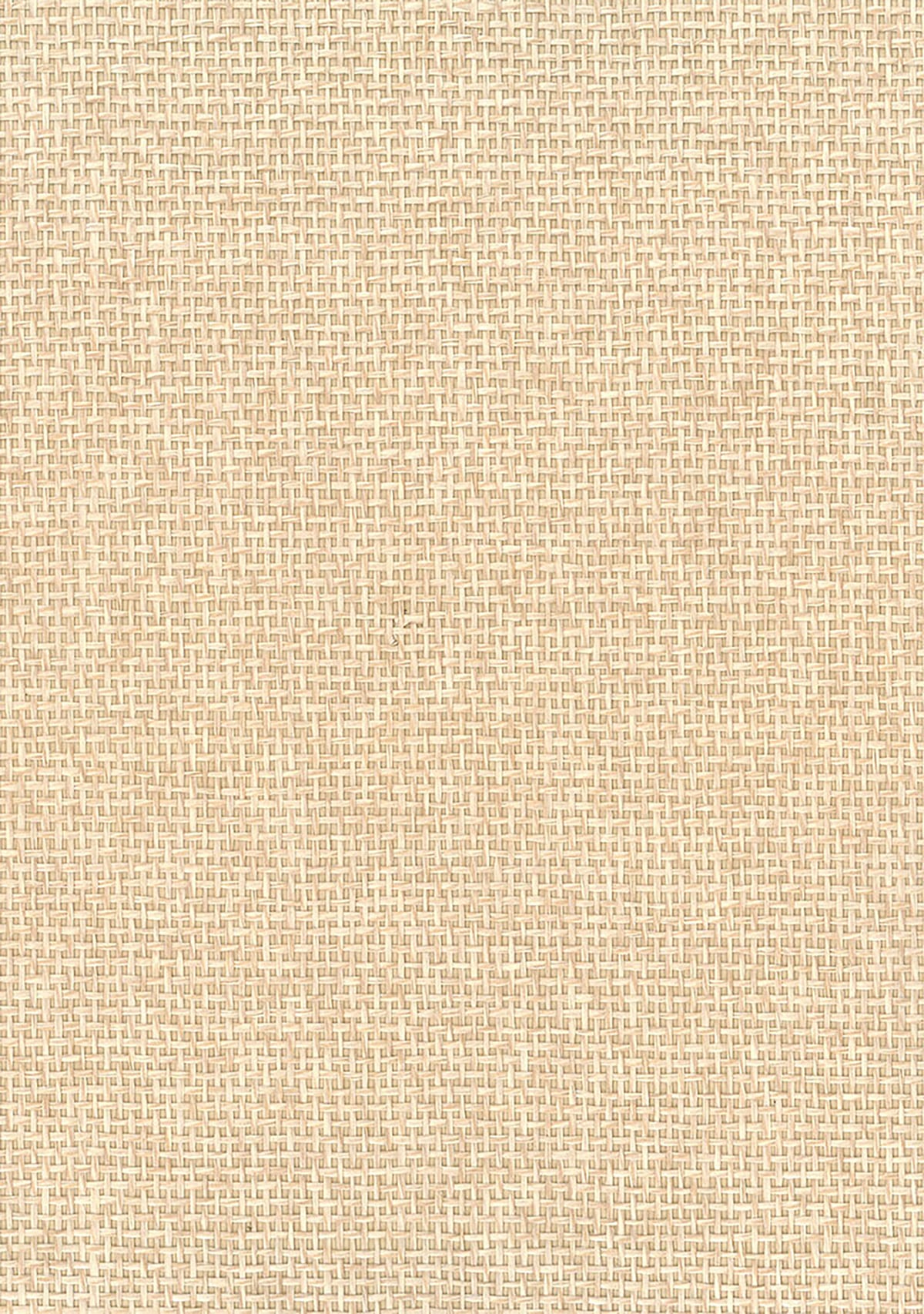 Beige paperweave grasscloth texture wallpaper
