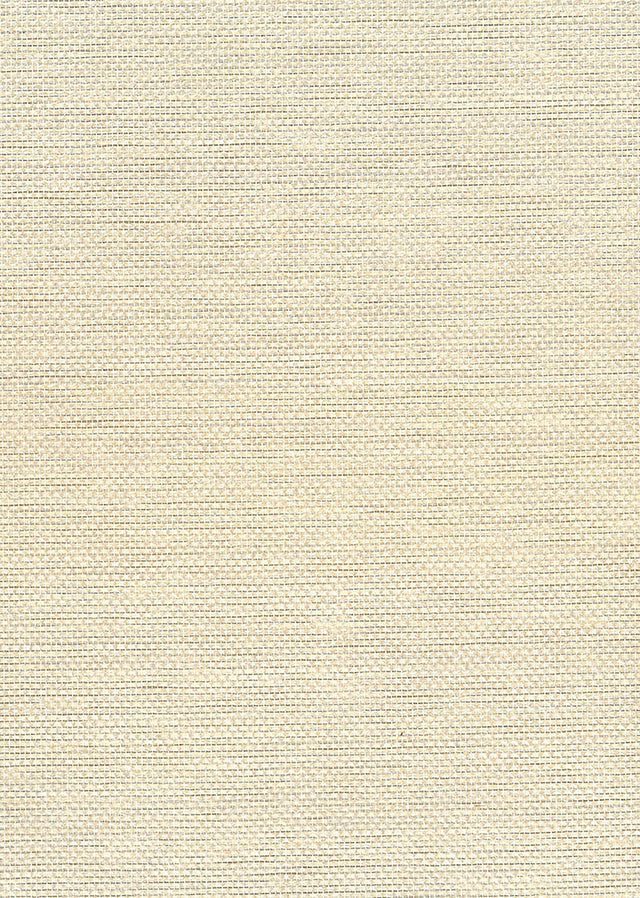 Seabrook Designs NA509 Paperweave grasscloth wallpaper in metallic silver and off white texture