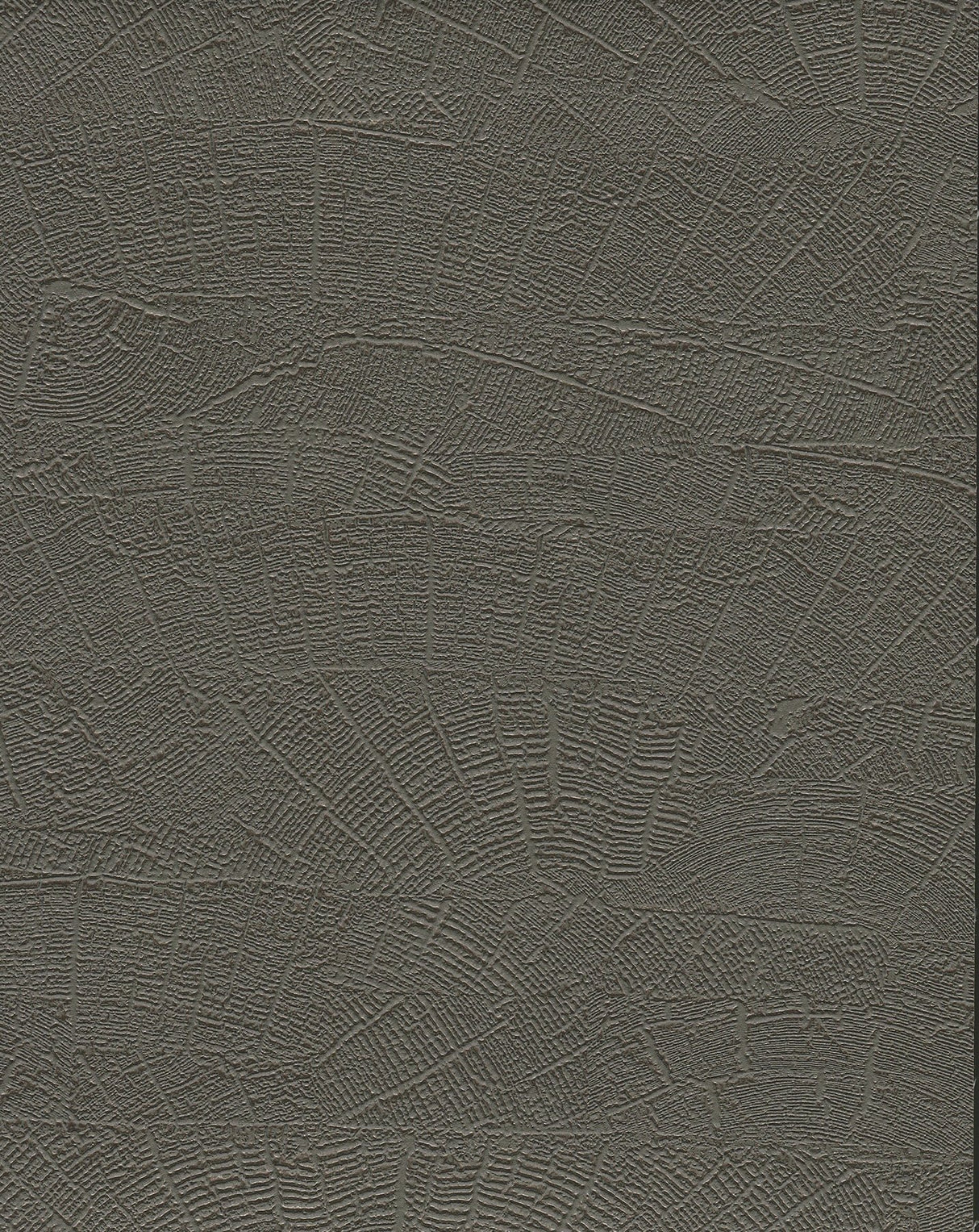 On Deck Grey & Brown Wallpaper with Textural Wood Plank Motif - York ND3064N
