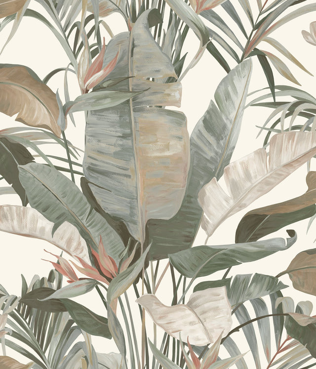 Tropical Cabana White Wallpaper with Tropical Banana Leaf Motif - York NT6131