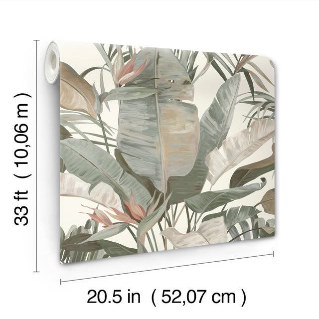 Tropical Cabana White Wallpaper with Tropical Banana Leaf Motif - York NT6131