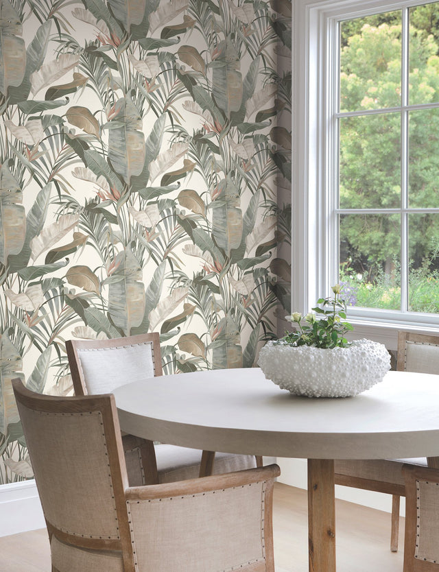 Tropical Cabana White Wallpaper with Tropical Banana Leaf Motif - York NT6131