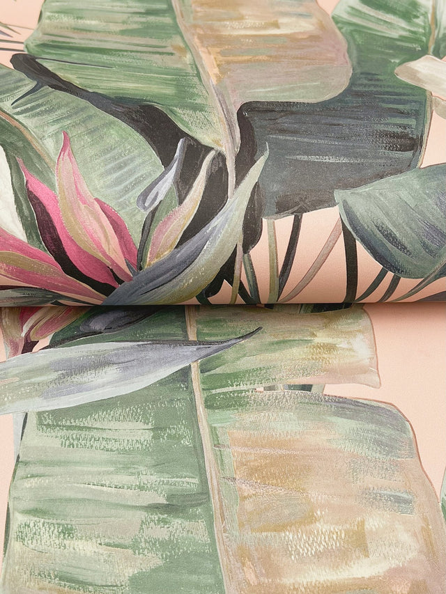 Tropical Cabana Coral Wallpaper with Tropical Banana Leaf Motif - York NT6132