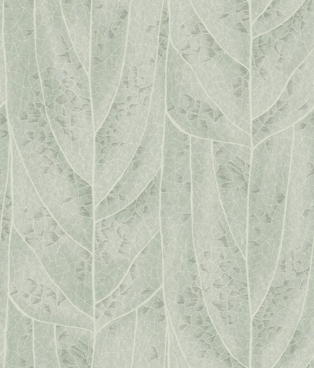 Dicot Spa Leaf Wallpaper with Raised Ink Botanical Eclectic Style - York NT6141