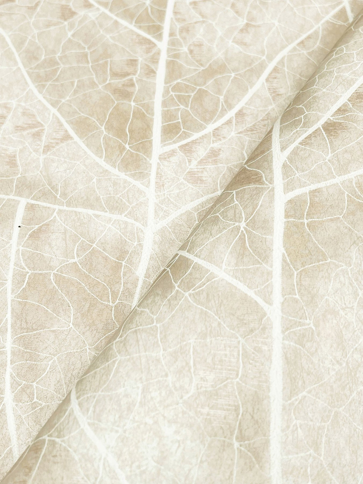 Dicot Beige Leaf Wallpaper with Raised Ink Botanical Pattern, Eclectic Style - York NT6144